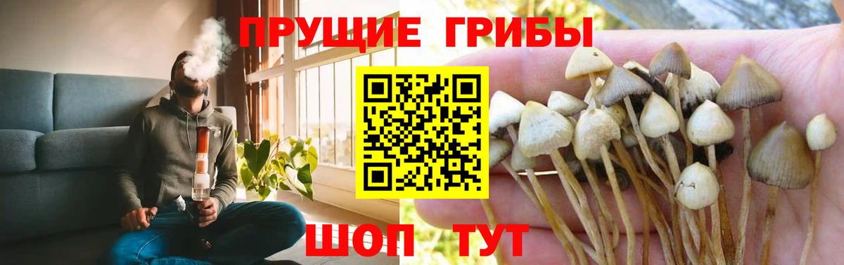 Нефтеюганск  Псилоцибиновые грибы Magic Shrooms  закладки  Вход с VPN 